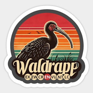 WALDRAPP (Geronticus eremita) critically endangered bird Sticker